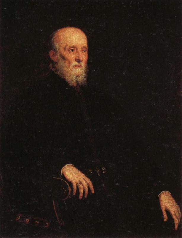 Jacopo Tintoretto Portrati of Alvise Cornaro China oil painting art